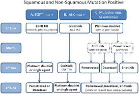 Bone pain or fractures if it's spread to your bones headaches, vision issues, or seizures if it's. Frontiers Treatment Algorithms For Patients With Metastatic Non Small Cell Non Squamous Lung Cancer Oncology