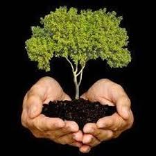Metáfora Árbol by Coral Elizondo on SoundCloud - Hear the world's ...