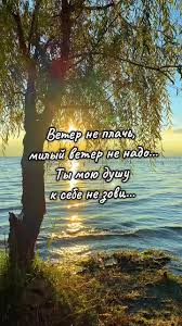 ����� '����� �� �����': ������ � ������