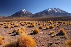 ambientes naturales | Flashcards