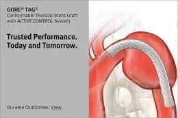 نتیجه جستجوی لغت [gore] در گوگل