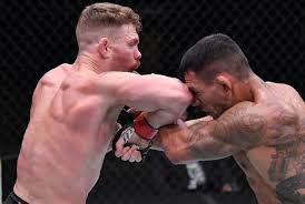 Www.sherdog.com paul the irish dragon felder mma stats pictures news videos biography sherdog com. Ufc Lightweight Paul Felder Announces Retirement From Competition