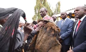 Jun 20, 2021 · deputy president william ruto has warned against having mpango wa kando after the recent mukhisa kituyi scandal that took social media by storm. Is William Ruto Kenya S Loitering Deputy President Allafrica Com