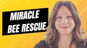 The Bees Had Other Plans… 😮🐝 After we safely removed this colony from a  structure, they completely surprised us... Instead of staying in their  temporary setup, the bees absconded—and we thought we