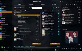 Audials One 2021 0 121 0 Crack License Key Free Download Latest