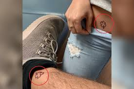 Download 927 bitcoin free vectors. Tinder Couple Get Matching Tattoos Before First Date