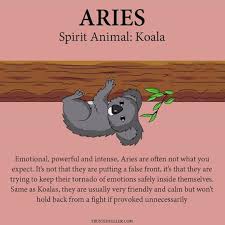 People born under the zodiac sign of the ram are said to embrace courage, activity, adventure, joyfulness and passion. Ariesmemes Aries Arieslove Aries Ariesnation Arieslife Zodiac Signs Astrology Zodiac Sign Traits Zodiac Star Signs