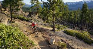 Maybe you would like to learn more about one of these? Current Lake Tahoe Mountain Bike Trail Conditions Tamba