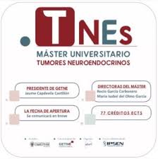 We have 5 other definitions for tnes in our acronym attic. Tnes Master Universitario Tumores Neuroendocrinos Getne