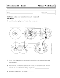 Navigate to your page and exercise. The Cell Cycle Worksheet With Answers Biog Studocu Thumb Mitosis And Diagram Identification Answer Coloring Pages Meiosis Key Puzzle Activity Review Pdf Practice Oguchionyewu