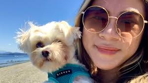 More Treats and Less Barks at Beau's Lil Barkery