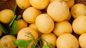 Apr 23, 2020 · a new book, fruit trees in small spaces by colby eierman, describes how to grow fruit trees, care for them and — most importantly — reap the rewards. When To Trim Citrus Trees Roses Other Plants
