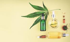 terpenes in medicine