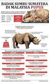Badak sumbu india atau badak sumbu tanduk tunggal asia (rhinoceros unicornis) merupakan mamalia besar yang kebanyakannya terdapat di timur laut india dan nepal. Info Tentang Smart Mind Home Centre Kuala Terengganu Facebook