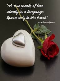 Check spelling or type a new query. Romantic Rose Quotes 20 Best Rose Love Quotes With Images