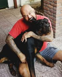 Rottweiler aggression can be a dangerous thing to deal with especially without the right advice and support. Einfach Tierschutz E V Auf Dem Foto Seht Ihr Eines Der Aggressivsten Und Gefahrlichsten Tiere Dieser Welt Und Einen Rottweiler Der Sich Liebevoll Anknabbern Lasst Es Gibt Keine Bosen Hunde Nur Bose