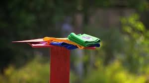 #asiaexpress #drumulcomorilor #antena1asia express sezonul 3 a început! Asia Express Sezonul 2 Episodul 27 Online 9 Aprilie 2019 Peserialehd Us