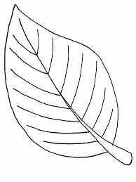 There are tons of great resources for free printable color pages online. Autumn Leaves Coloring Pages For Kids Bulk Color