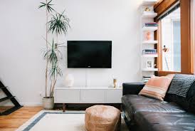 Best of himalaya mix planta at keywordspace(out of 82.4 million in result | last check 19 july 2019). Dracaena Plant Care How To Grow Maintain Dracaena Plants Apartment Therapy
