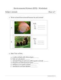 Our math worksheets for 2nd graders give kids the opportunity to solve different kinds of. Environmental Science Evs Animals Worksheet Class Ii