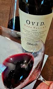 Image result for Wine Red 1999 AAV