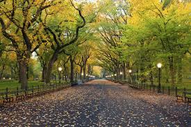 Central Park In New York City Die Grune Lunge In Manhattan