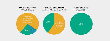 full spectrum cbd vs broad spectrum cbd vs cbd isolate