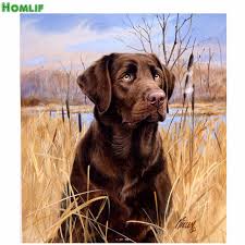 Homlifdiy Diamant Schilderen Hond Kruissteek Hars Steen Geplakt Schilderen Ronde Boor Handwerken Schilderen Voll Honden Schilderijen Labrador Honden Hond Kunst