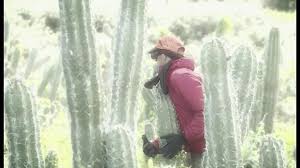 La canción según mis fuentes en españa reza así: Video Avance Del Duro Juego De La Gallinita Ciega Entre Cactus El Conquistador Del Fin Del Mundo Eitb