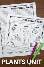 Activities For Plant Life Cycle For 2nd And 3rd Grade Printable Includes Seque Elementary Science Activities Reading Comprehension Passages Elementary Writing