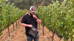 Brewer or Winemaker?