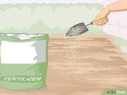 How to prepare soil for vegetable garden. How To Prepare The Soil For A Vegetable Garden 15 Steps
