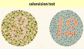 Know The Medical Test Procedures For Civil Services Examination Dlptest.com is a data loss prevention (dlp) testing resource that focuses on testing to make sure your dlp software is working correctly. know the medical test procedures for
