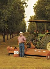 I have five large pecan trees in my yard. Pick Of The Crop Texas Co Op Power