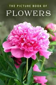 The eighth season of grey's anatomy premiered september 22, 2011 and ended may 17, 2012. The Picture Book Of Flowers A Gift Book For Alzheimer S Patients And Seniors With Dementia By Sunny Street Books