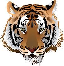 Tiger Head 28368 Free Eps Download 4 Vector