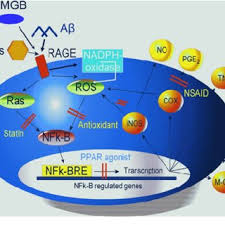Triose Phosphate Isomerase Deficiency Tpi A Rare Disorder That Download Scientific Diagram