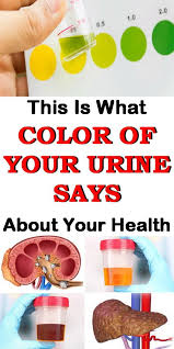 Here S What Color Of Your Urine Says About Your Health Healthtips Kidneys Liver Urine Health Green Urine Urinal
