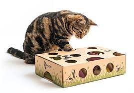 More than that though, they also provide your cat with mental and physical stimulation, allowing them to use those innate hunting instincts. Cat Puzzle Toys The Best Cat Puzzle Toys To Challenge Your Clever Cat