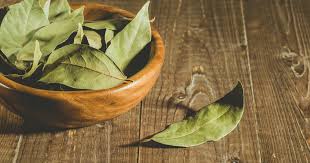 Maybe you would like to learn more about one of these? Laurier Definition Proprietes Et Bienfaits Sur La Sante