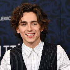 Timothée chalamet had a recurring role on the show homeland. frazer harrison/getty images. Must Read Timothee Chalamet Covers Gq How Brands Are Preparing For Lockdown 2 0 Fashionista