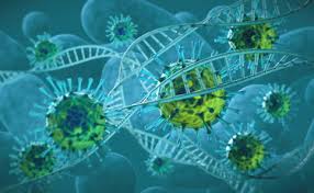 Para avaliar essa atividade, os cientistas testaram os soros de 30 indivíduos vacinados com as duas doses das vacinas de mrna, sendo 15 de cada. Variante Epsilon La Mutazione Che Dilaga In California Molto Peggio Della Delta Studi Inquietanti Sul Vaccino Libero Quotidiano