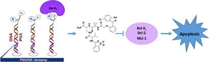 Image result for BCL2 Inhibitor