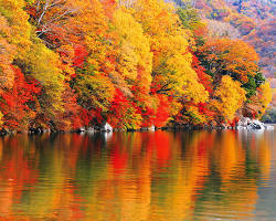 日光紅葉の画像