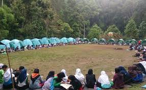 Beberapa download contoh surat izin orang tua. 30 Contoh Surat Izin Orang Tua Untuk Berbagai Keperluan Lengkap