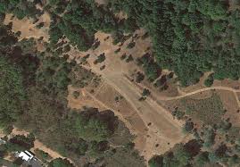 Image result for Mountain Brown 1934 Fleet