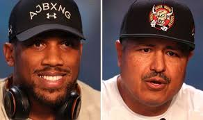 Anthony Joshua savaged as Robert Garcia decision questioned before  Oleksandr Usyk fight