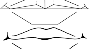 See also 10+ easy doodle drawing ideas & drawings. Drawing Mouths Lips How To Draw Mouths Step By Step Lesson How To Draw Step By Step Drawing Tutorials