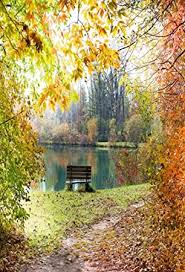 We did not find results for: Amazon Com Aofoto 3x5ft Photography Backdrop Artistic Background Autumn Scenery Park Bench Trees Fallen Leaves Natural Landscape Kid Girl Boy Portrait Photo Studio Props Vinyl Wallpaper Electronics