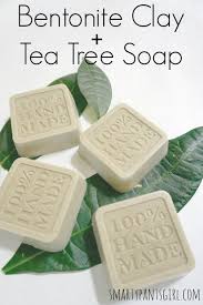 Diy Bentonite Clay Tea Tree Soap Smarty Pants Girl Tea Tree Soap Soap Recipes Homemade Soap Recipes